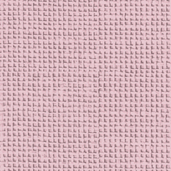 Apricot_FB-GY-03
