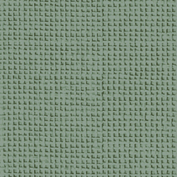 Birch_FB-GY-03