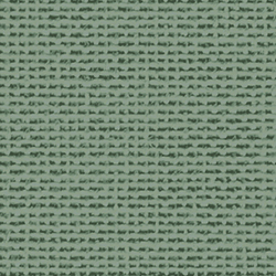 Birch_FB-NE-06