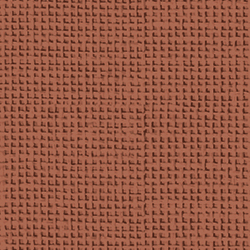 CoralHaze_FB-GY-03