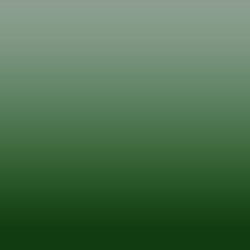 Ombre-#005232-Birch