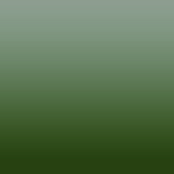 Ombre-#425b00-Birch