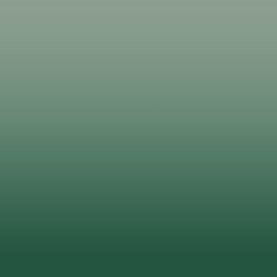 Ombre-#447476-Birch