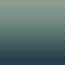Ombre-#4d6072-Birch