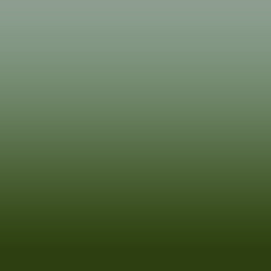 Ombre-#565e07-Birch