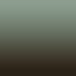 Ombre-#61442f-Birch