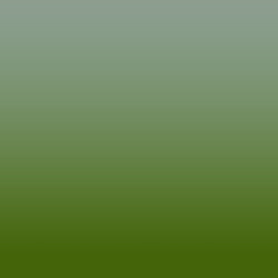 Ombre-#828d10-Birch