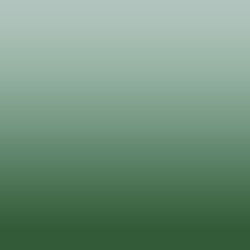 Ombre-#4e6a58-Glacier