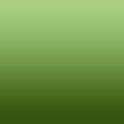 Ombre-#565e07-Gleam