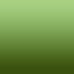 Ombre-#5d5d00-Gleam