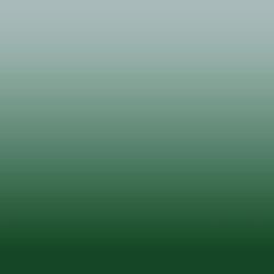 Ombre-#0b5345-Mushroom