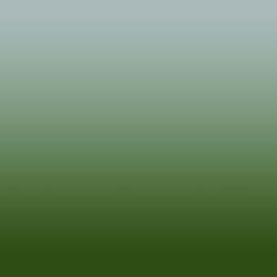 Ombre-#425b00-Mushroom