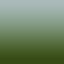 Ombre-#565e07-Mushroom