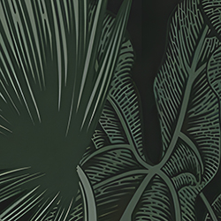 NA-NC-19_PanelC