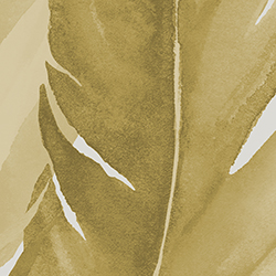 NA-YL-02-PanelB