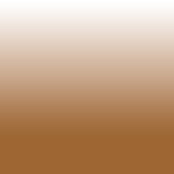 Ombre_0007_Rust - #9d6632