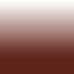 Ombre_0008_Rust - #5d241b