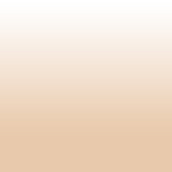 Ombre_0022_Neutral - #e8c9ab