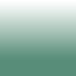 Ombre_0039_Green - #578d79