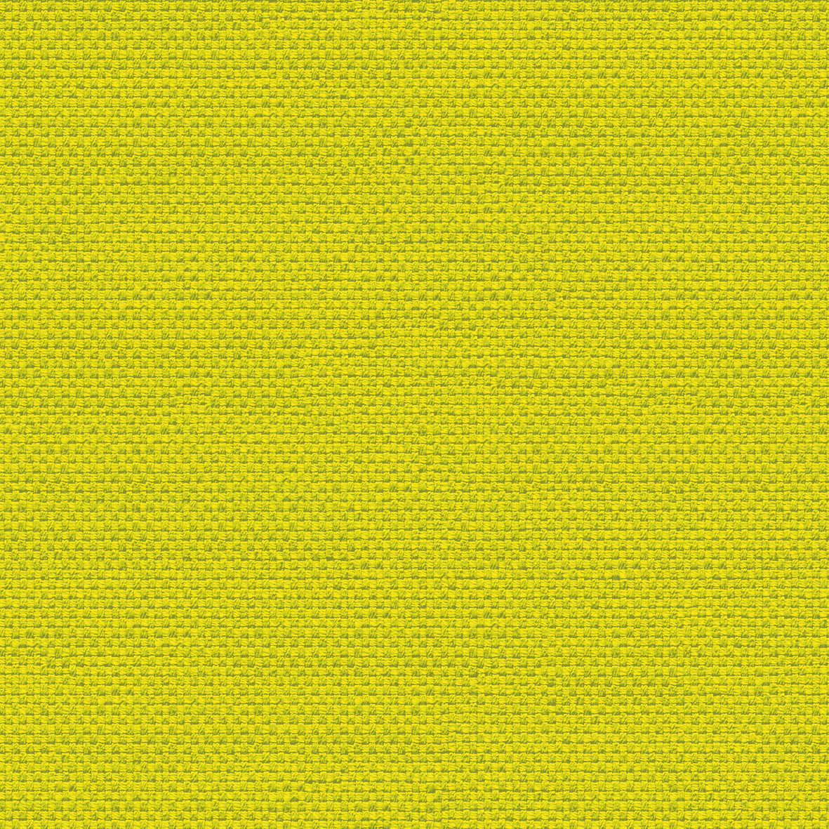 FB3_Yellow_1