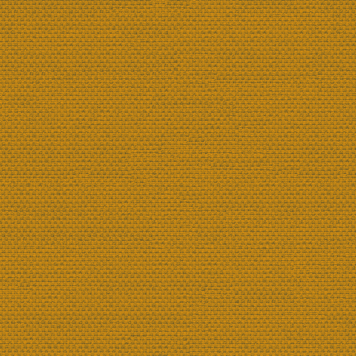 FB3_Yellow_1